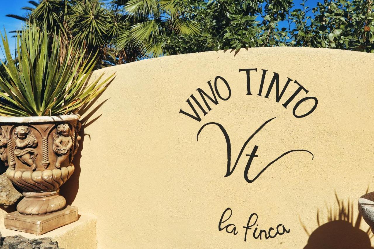 Finca Vino Tinto 4 Icod de los Vinos Kültér fotó